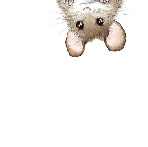 Maus Illustration, Mouse Illustration, Mouse Drawing, Watercolor Pictures, Cute Mouse, Less Is More, A Mouse, Cute Illustration, Animal Drawings