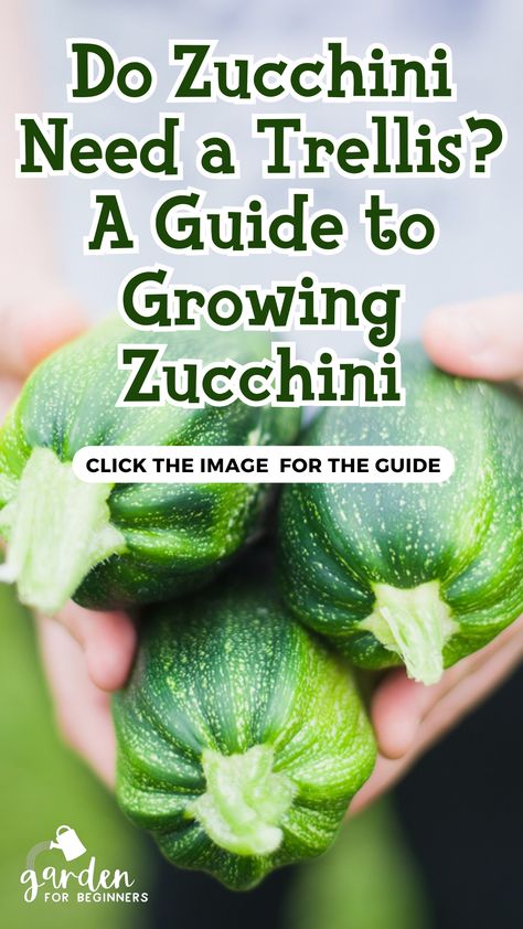 Are you growing zucchini? Are you wondering if zucchini need a trellis to grow? If A trellis is a structure that supports the plant and helps it grow vertically. While zucchini plants can grow without a trellis, using one can provide numerous benefits. Let’s find out whether zucchini plants need a trellis and provide tips on how to grow healthy and abundant zucchini. Growing Zucchini Vertically Trellis, Zucchini Garden Tips, How To Grow Zucchini Vertically, Planting Zucchini, Zucchini Trellis, Growing Zucchini Vertically, How To Grow Zucchini, Squash Trellis, Grow Zucchini