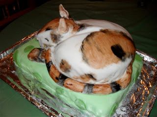 Novelty Cake Designs: How to make a Cat Cake Whimsical Cakes, Cat Cakes, Novelty Cake, Birthday Cake For Cat, Present Cake, Serval Cats, Queen Cakes, Fondant Recipe, Cat Body