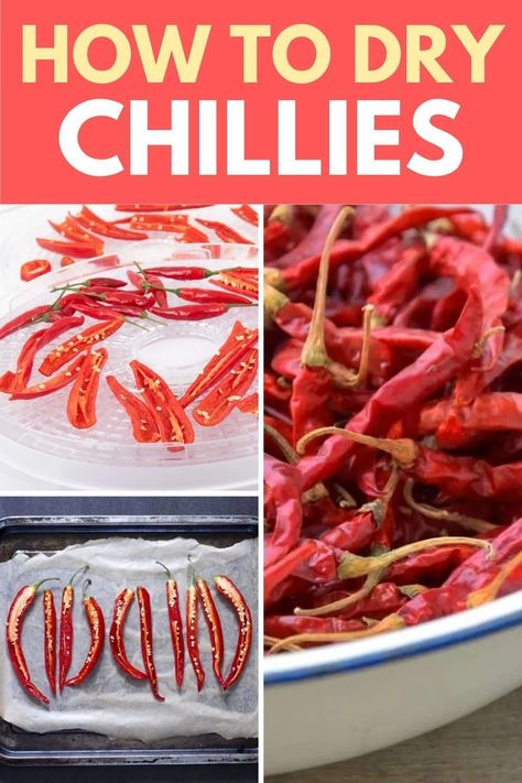 Discover the art of preserving heat and flavour with our guide on How To Dry Chillies - a simple method that ensures you always have spicy goodness on hand! Whether from your garden or the market, drying chillies at home is easy and rewarding. Drying Chillies, Dried Chillies, Oven Canning, Dehydrated Food, Chilli Flakes, Dehydrator Recipes, Sun Dried, Main Meals, Tray Bakes