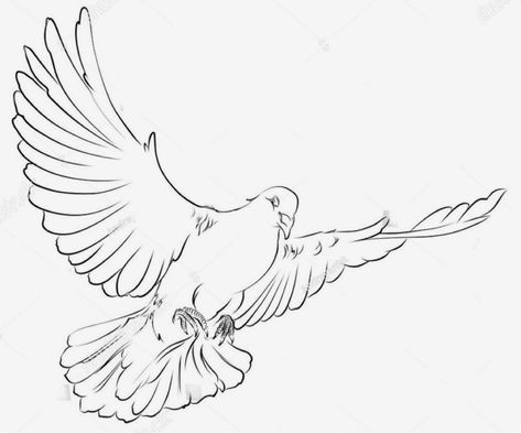 Dove Tattoo Outline, Realistic Dove Tattoo, Traditional Dove Tattoo, Tattoo Design Stencil, Bird Tattoo Sleeves, Dove Drawing, Line Drawing Tattoos, Dove Tattoo Design, Fly Drawing