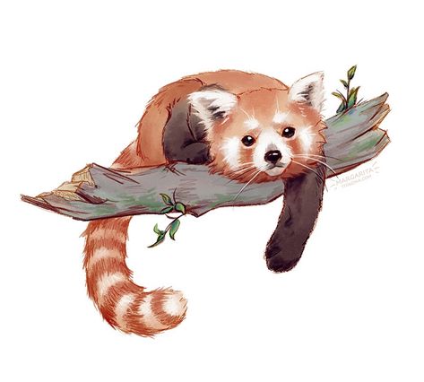 Snow Panda, Red Pandas, Red Panda, Art Photo, To Draw, I Can, Digital Art, Red, Art