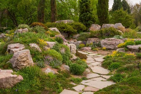 Try these low-water landscaping designs with boulders, stones and rocks. Boulder Garden, Drought Resistant Landscaping, Low Water Landscaping, Landscaping A Slope, Low Water Plants, Alpine Garden, Drought Resistant Plants, Drought Tolerant Garden, Denver Botanic Gardens