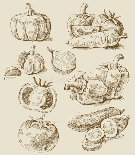 Vegetables set. Vector vintage hand drawn of vegetables #Sponsored , #AFFILIATE, #Sponsored, #set, #drawn, #vegetables, #Vector Vegetable Drawing, Vegetable Illustration, Food Sketch, Black And White Drawing, Food Drawing, Art Practice, Ink Illustrations, Food Illustrations, Pen Drawing