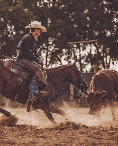 Tim O'Keefe | Lefty Billingsley • Team GS @billingsley11 | Instagram Cowboys With Mullets, Cowboy Outfit Ideas, Western Cowboy Art, Cowboy On Horse, Lots Of Land, Herding Cattle, Cowboy Vibes, Hummingbirds Photography, Four Brothers