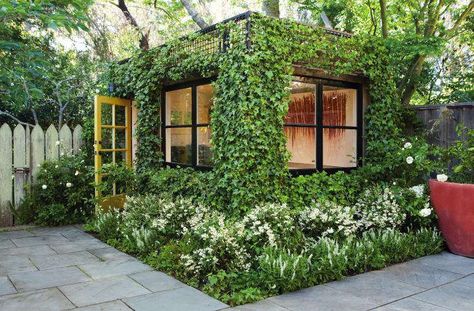 Landscape Architect Visit: Scott Lewis Turns A Small SF Backyard Into an Urban Oasis Townhouse Garden, Ivy Wall, Bluestone Patio, Japanese Maple Tree, Casa Container, Patio Interior, Urban Oasis, Outdoor Essentials, Public Garden