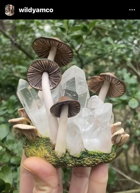 Mushroom Sculpture, Halloween Party Planning, Tea Cup Art, Wild Yam, Mushroom Crafts, Fairy Aesthetic, Terrarium Diy, Cup Art, Mushroom Art