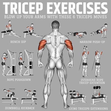 Tricep Exercises, Bicep And Tricep Workout, Bodybuilding Workout Plan, Gym Workout Chart, Workout Routine For Men, Gym Workouts For Men, Trening Fitness, Muscle Building Workouts, Weight Training Workouts