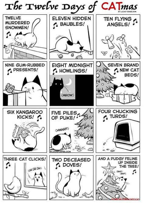 12 Days of Catmas Christmas Funnies, How To Cat, Simons Cat, Cat Comics, 12 Days Of Christmas, Crazy Cat Lady, Cartoon Cat, Comic Strip, Christmas Cats