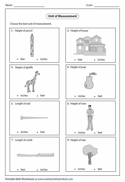 Metric Measurement Worksheets, Units Of Measurement Worksheets, Measurement Worksheets 2nd Grade, Maths Worksheet, Measurement Worksheets, Measuring Length, Kids Math, Math Measurement, Metric Measurements