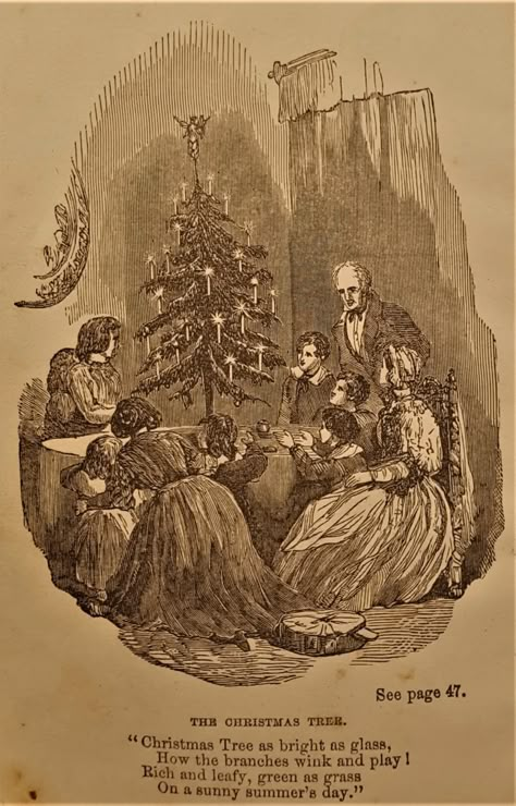 19th Century Christmas Aesthetic, 1860s Christmas, 1800s Christmas, Christmas Victorian, Historical Christmas, Victorian Christmas Tree, Christmas History, Southern Christmas, Dark Christmas