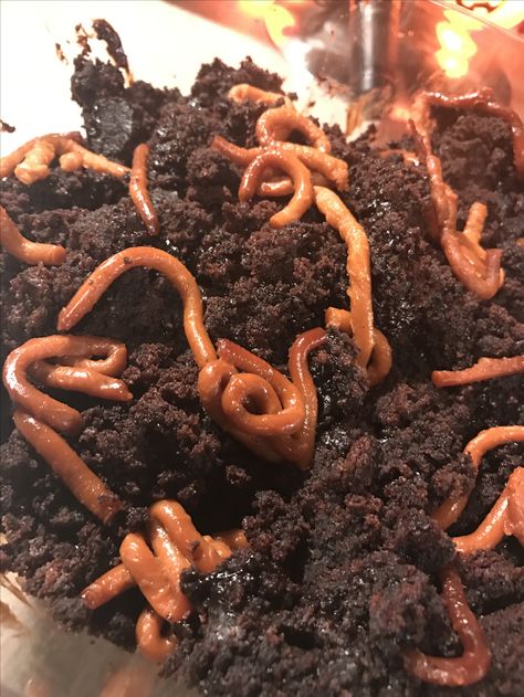 Worms And Dirt Dessert, Dirt And Worms Dessert, Worm Painting, Dirt And Worms, Worms In Dirt, Worm Aesthetic, Dirt Dessert, Edit Capcut, Valentine Photography