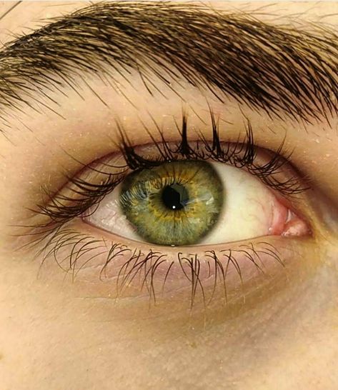 left eye, green and gold Green Eyes Gold Flecks, Green Eye Reference, Green Eyes With Gold Flecks, Green Gold Eyes, Hazel Green Aesthetic, Green Iris Eye, Green Eyes Photography, Green Eye Drawing, Green Eyes Aesthetic