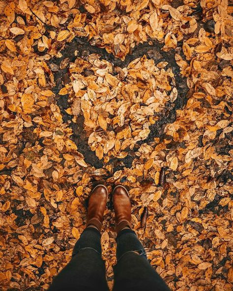 Thanksgiving Aesthetic Photography, Victoria + Core, Different Types Of Aesthetics, Types Of Aesthetics, Rain Design, Autumn Park, Posing Tips, Winter Wallpaper, Creative Instagram Photo Ideas