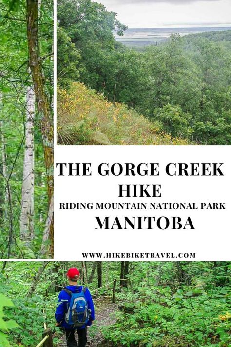 The Gorge Creek Hike in Riding Mountain National Park, Manitoba #hiking #manitoba #RidingMountainNationalPark #nationalparks #Canada #besthikes Riding Mountain National Park, Manitoba Travel, Best Hiking Gear, Hiking Europe, Canadian Travel, The Gorge, The 300, Visit Canada, Hiking Guide