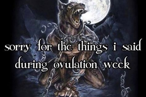 Ovulation Week, Alpha Quote, Inappropriate Thoughts, Im Going Crazy, Funny Reaction Pictures, Silly Me, Funny Me, Just Girly Things, Man Humor