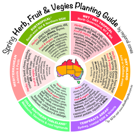 Spring Herb, Fruit & Vegies Planting Guide by temperate zones Au Planting Guide Australia, Oregon Gardening, Flower Planting Guide, Como Plantar Pitaya, Growing Winter Vegetables, Vegetable Planting Guide, Flower Planting, Serenity Garden, Yoga Outdoor