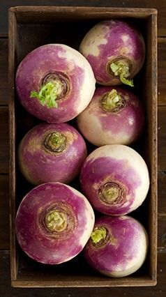 ༺♡༻ FABULOUS ༺♡༻ Turnips, Fresh Fruits And Vegetables, Root Vegetables, Fresh Veggies, Fruit And Veg, Beautiful Food, Fresh Vegetables, Fresh Produce, Farm Fresh