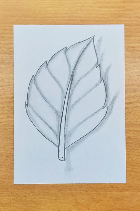 Learn How to draw a Leaf step by step quickly. Easy Leaf pencil Drawing tutorial for beginners. #leafdrawing #pencilsketchleaf #drawingtutorial Leaf Drawing Pencil, How To Draw A Leaf Step By Step, How To Draw A Leaf, Shading Drawing Easy, Leaf Pencil Drawing, Simple Leaf Drawing, Easy Leaf Drawing, Leaf Shading, Leaf Drawing Easy