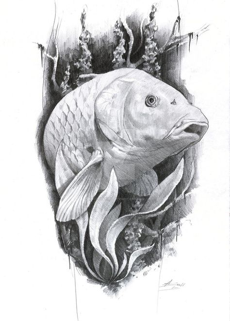 carp tattoo by AndreySkull Carp Tattoo, Carp Fish, A Pencil, Carp, Pencil Drawing, Pencil, Fish, Water