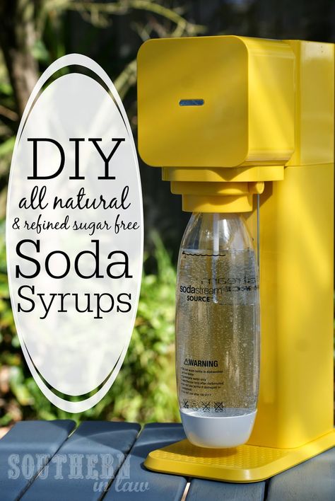 DIY Healthy Soda Syrup Recipe - low fat, gluten free, sugar free, all natural Homemade Soda Syrup, Sodastream Syrup, Soda Stream Recipes, Natural Soda, Diy Soda, Kombucha Flavors, Auto Lift, Soda Machine, Soda Syrup