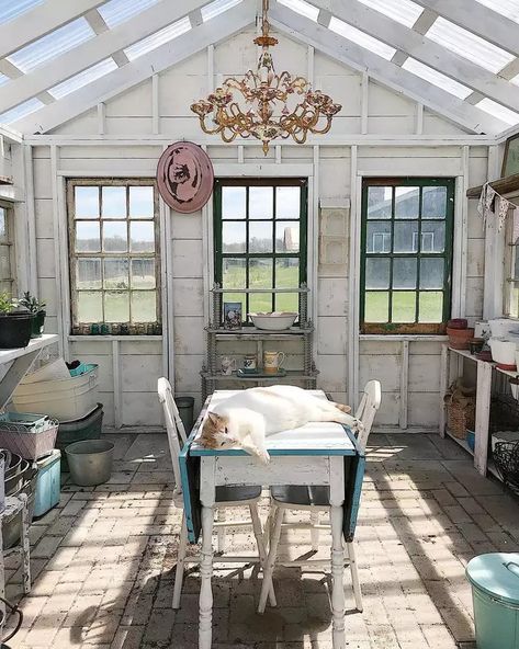 40 Greenhouse Ideas to Help Your Plants Thrive Cute Greenhouse Interior, Shabby Chic She Shed, Garden Shed Greenhouse, Summer Shed, She Shed Greenhouse, She Shed Interior Ideas, She Shed Interior, Garden Shed Plans, Cottage Garden Sheds