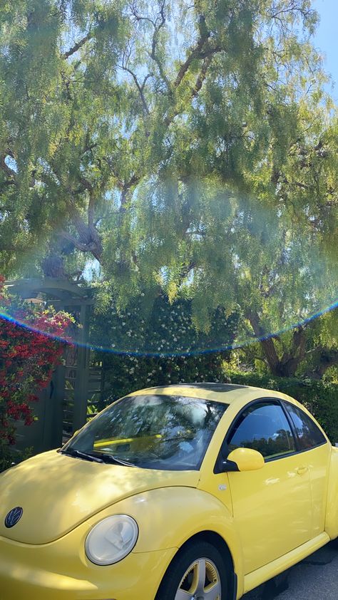 yellow punch buggy, volkswagen, rainbow Yellow Vw Beetle Aesthetic, Yellow Buggie Car, Yellow Punch Buggy, Yellow Volkswagen Beetle Aesthetic, Beetle Aesthetic Car, Yellow Beetle Car Aesthetic, Punch Buggy Aesthetic, Punch Buggy Car, Beetle Car Aesthetic