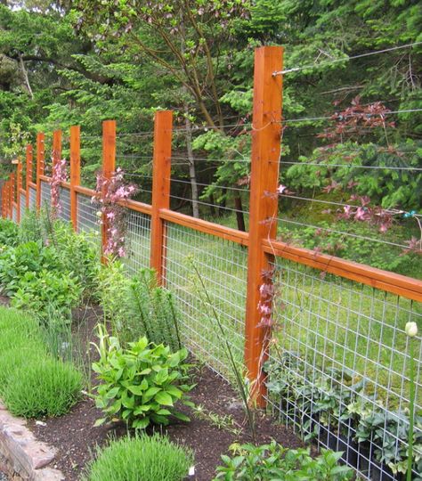 Garden With Deer Fencing, Higher Fence Ideas, Garden Gate Design Wood Fences, Fishing Line Deer Fence, Deer Fencing For Garden, Diy Deer Fence, Backyard Garden Fence, Vegetable Garden Fencing, T Post Garden Fence