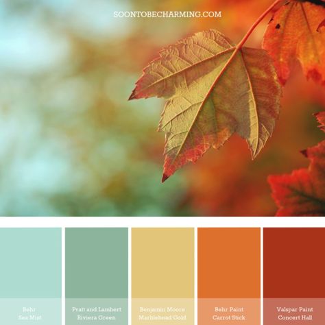 Fall Color Combinations, Fall Color Schemes, Cupcake Logo, Color Schemes Colour Palettes, Fall Color Palette, Design Seeds, Color Palette Design, Autumn Colors, Fall Color