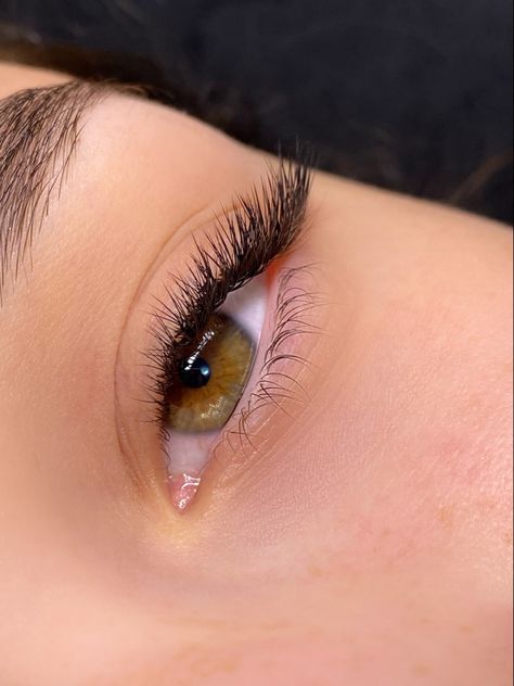 2D lashes with L curl Classic L Curl Lash Extensions, Lash Extensions L Curl, M Curl Lash Extensions, 2d Lash Extensions, L Curl Lash Extensions, L Curl Eyelash Extensions, L Lashes, 2d Lashes, L Curl Lashes