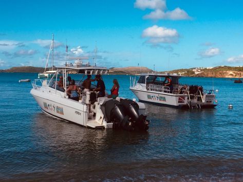 Aqua Action Dive Center, Virgin Islands, US Virgin Islands, St Thomas, Cowpet Bay | Island eGuide St Thomas Us Virgin Islands, Power Boat, Beach Chair Umbrella, Diving Center, Quiet Beach, Charter Boat, Us Virgin Islands, Power Boats, St Thomas