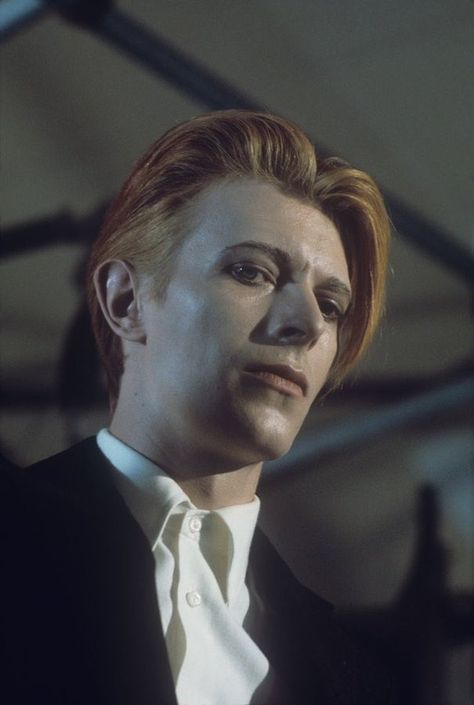 David Bowie News on X: "David Bowie, 1975, by Steve Schapiro. https://t.co/wEXL6DMz5z" / X Steve Schapiro, Bowie Low, Painting References, I Love Music, David Bowie