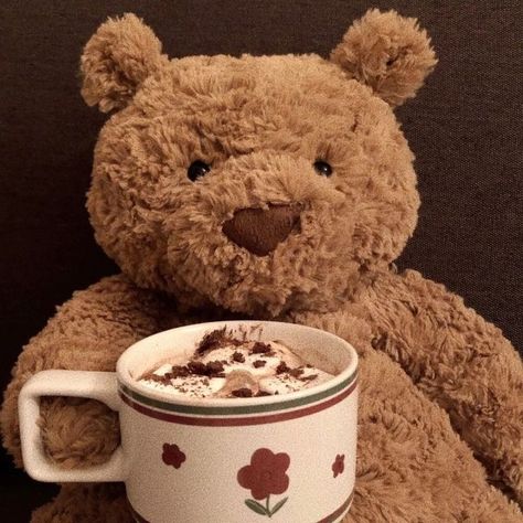 Jellycat Icon, Teddy Bears Aesthetic, Teddy Bear Aesthetic, Bartholomew Bear, Teddy Bear Icon, Brown Teddy Bear, A Teddy Bear, My Funny Valentine, Best Seasons