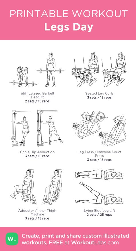 Legs Day: my visual workout created at WorkoutLabs.com • Click through to customize and download as a FREE PDF! #customworkout Leg Day Exercises For Women, Toning Leg Workouts For Women Gym, East Leg Workout, Female Leg Workout Exercises, Begginer Legs Workout, What To Do In Gym Workout Plans, Basic Leg Day Workout, Resistance Leg Workout, Workout Schedule Leg Day