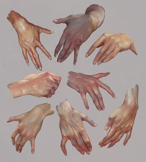 Hand Studies, Christophe Young on ArtStation at https://www.artstation.com/artwork/Z5wb51 Hand Drawing Reference, Hand Reference, Body Reference Drawing, Beautiful Illustration, Anatomy Drawing, Poses References, Digital Painting Tutorials, Anatomy Reference, Anatomy Art