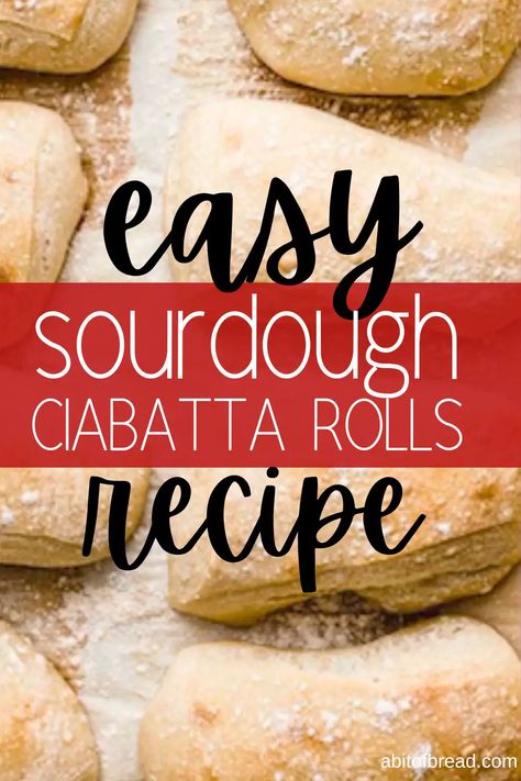 Learn how to make sourdough ciabatta bread rolls the easy way using just these simple ingredients. Ciabatta Rolls Recipe, Sourdough Ciabatta, Homemade Ciabatta Bread, Ciabatta Bread Recipe, Ciabatta Rolls, Fermented Bread, High Protein Flour, Recipe Using Sourdough Starter, Ciabatta Roll