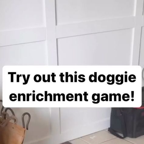 PetFitness on Instagram: "Easy Doggie Brain Game! 🐶 You probably have everything you need for this game, already in your house! You will need: ✅ Treats ✅ Paper Bag ✅Open Space This is a great brain game that encourages your dog to use their nose and their brain! Follow for more tips! 🐾🤍 #petfitness #dogenrichment #dogbraingames #enrichmentfordogs #dogs" Games For Dogs, Brain Games For Dogs, Brain Game, Dog Enrichment, Bags Game, Dog Brain, Brain Games, Milk Jug, Open Space