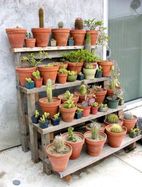 Jardín Pot Plant Stands Outdoor, Garden Plant Shelves, Plant Shelves Outdoor, Outdoor Shelves, Handy Manny, Succulent Landscape Design, نباتات منزلية, Succulent Landscaping, Garden Shelves