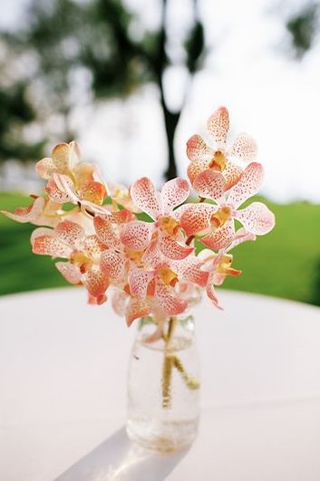 Cocktail Table Flowers: Bud Vase with Spotted Mokara Orchids Cocktail Table Flowers, Mokara Orchids, Orchid Wedding, Fancy Pants, Table Flowers, Tropical Wedding, Cocktail Table, Small Vase, Bud Vase