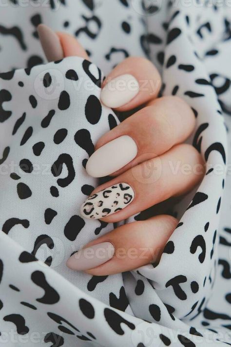 A woman's hand with a beautiful manicure holds a fabric with a leopard print. Autumn trend, beige color polishing with leopard pattern on nails with gel polish, shellac. Autumn Leopard Print Nails, Leopard Nail Art Designs, Normal Nails, Wedding Guest Nails, Nails With Gel Polish, Leopard Print Nail Art, Leopard Nail Designs, Leopard Print Nail, Leopard Nail Art