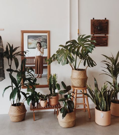 Cesti per le piante نباتات منزلية, Plant Decor Indoor, House Plants Decor, Room With Plants, In The Room, Room Decor Bedroom Teenage, Aesthetic Room Decor, Home Decor Tips, The Room