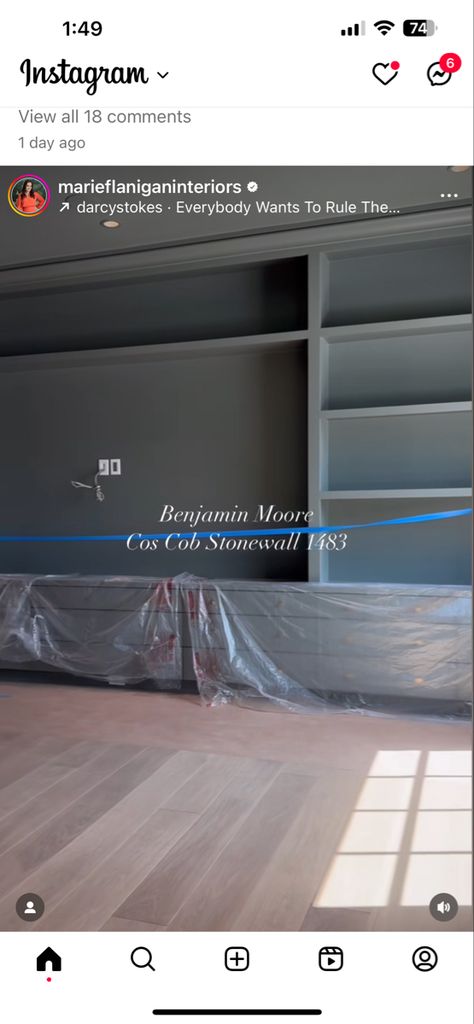 Cos Cob Stonewall Benjamin Moore, Perfect Paint Color, Wall Paint Designs, Living Room Tv, Tv Room, Benjamin Moore, Wall Paint, Paint Color, Paint Designs