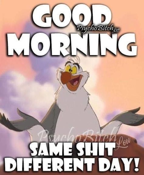 Funny Tuesday Quotes Hilarious, Cute Good Morning Gif, Funny Good Morning Messages, Morning Board, Good Morning Sweetheart, Healthcare Humor, Sweetheart Quotes, Good Morning Funny Pictures, Morning Sweetheart