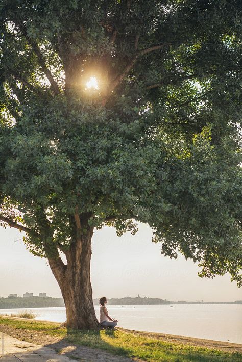 Woman Meditating Under a Tree by Lumina for Stocksy United Meditate Photography, Lotus Seed, Tree Woman, Mushroom Art, Meditation Practices, Nature Girl, Nature Scenes, Yoga Inspiration, Plant Lover