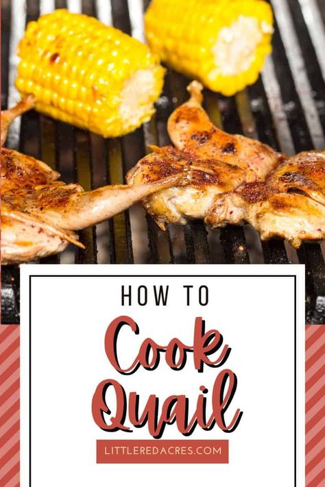 Quail Legs Recipe, Roast Quail Recipes, Grilled Quail Recipes, Quail Meat, Cornish Game Hen Recipes, Coturnix Quail, Quail Recipes, Meat Cooking, Raising Quail