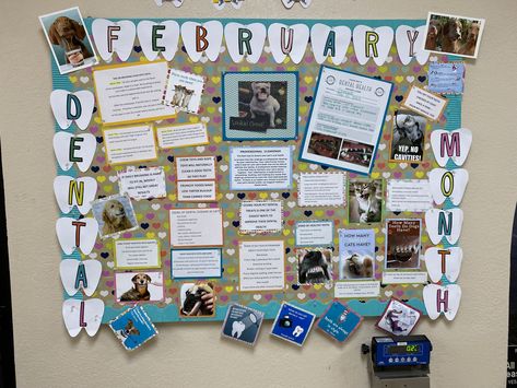 Clinic Bulletin Board Ideas, Big Brother Pregnancy Announcement, Vet Life, Vet Office, Vet Medicine, Vet Med, Daycare Ideas, Notice Board, Vet Tech