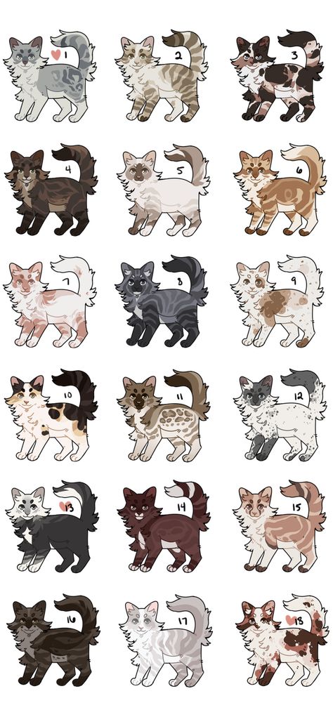 Warrior Cat Apprentice Oc, Warriors Cats Ocs, Cat Adopts Art, Cat Fur Colors, Wcue Oc Design, Warrior Cat Design Ideas, Warrior Cats Design Ideas, Cute Wcue Morph Ideas, Wcue Cat Morph Ideas