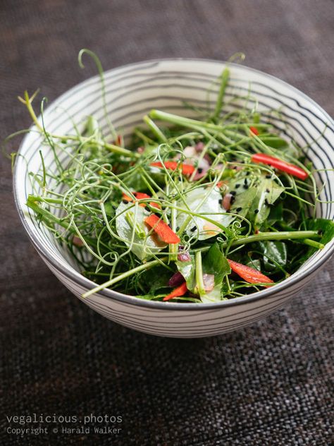 Stock photo of Pea Tendril Salad. Pea Tendrils, Sweet Spicy Sauce, Sweet And Spicy Sauce, Black Sesame Seeds, Black Sesame, Spicy Sauce, Sesame Oil, Salad Ingredients, Chili Pepper