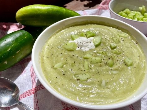 Hot or Cold Creamy Cucumber Soup – Polyphagic Abby Cold Cucumber Soup, Cooked Cucumber, Hungarian Mushroom Soup, Cucumber Soup, Bread Dumplings, Mushroom Cream Sauces, Small Appetizers, Creamy Cucumbers, Savory Herb