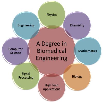 Daily Life: Second major- Biomedical Engineering Biomedical Engineering Projects, Biochemical Engineering, Engineering Quotes, Medical Engineering, Engineering Careers, Stem Careers, Med School Motivation, Medical Laboratory Science, Biomedical Science